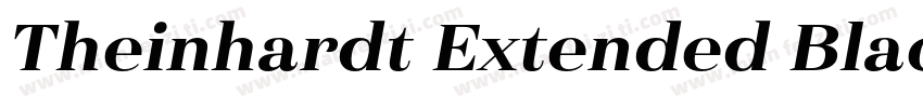 Theinhardt Extended Black Italic字体转换